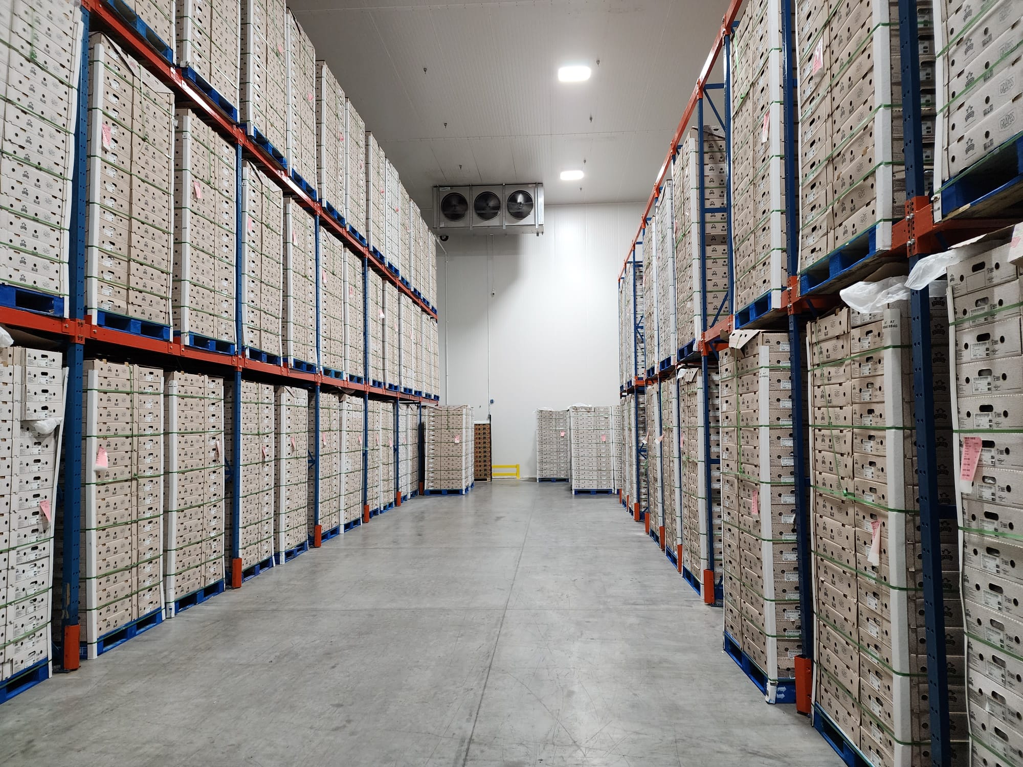 Cold storage racks filled with produce boxes