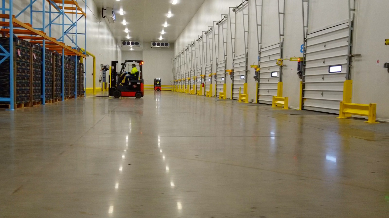 Cold storage loading area with dock doors and forklifts